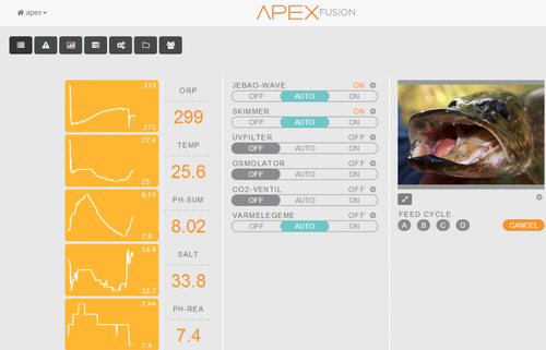 Apex1.png
