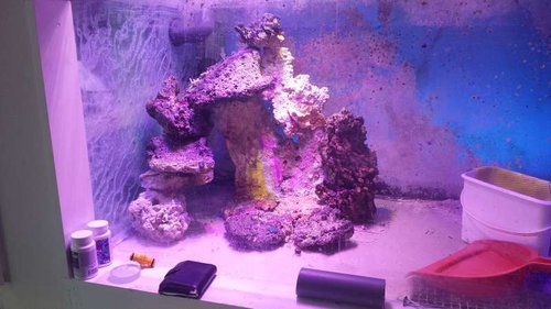 20140710_170451.jpg
