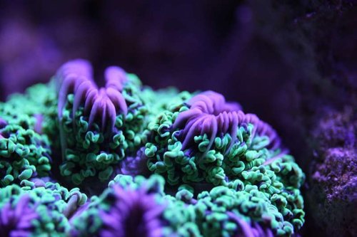 20140708-IMG_5243.jpg