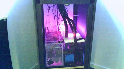WIN_20021208_120000 (65).JPG
