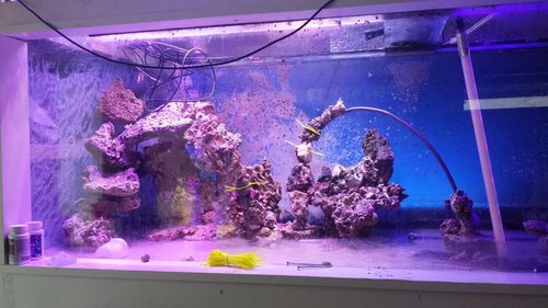 20140714_100333.jpg