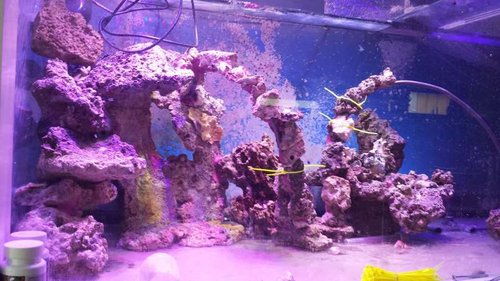 20140714_100413.jpg