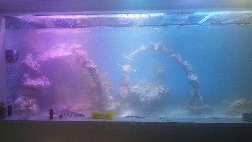 20140714_161507.jpg