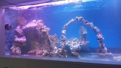 20140715_202339.jpg