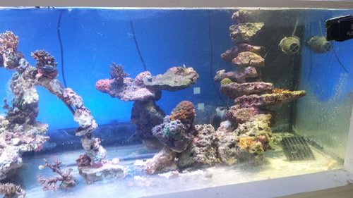 20140718_142730.jpg