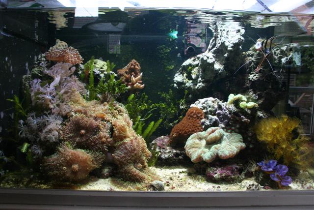 IMG_5668 (Small).JPG