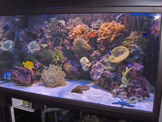 Akvarie_350L.JPG