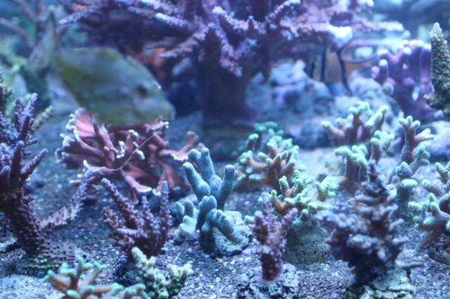 IMG_0007.JPG