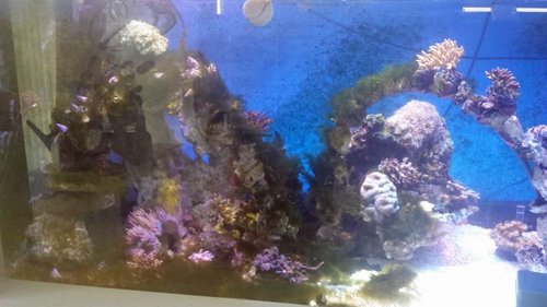 20140802_105041.jpg