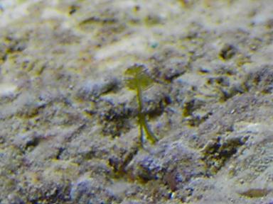 PICT2735.JPG