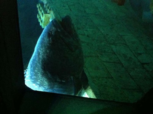 IMG_0094.JPG