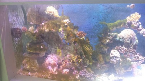20140803_190020.jpg