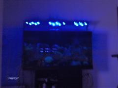 opstart saltvandsakvariumet 130 (WinCE).jpg