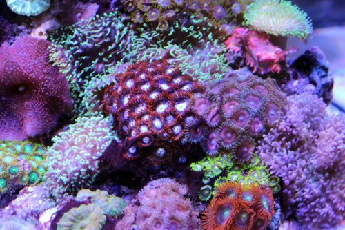 IMG_0540.JPG