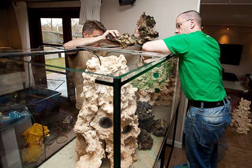 Bartels akvarium-39.jpg