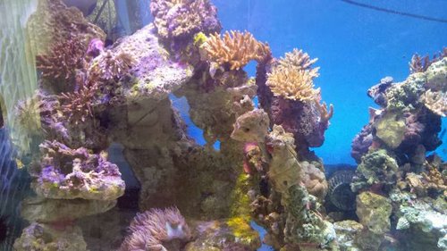 20140809_103554.jpg