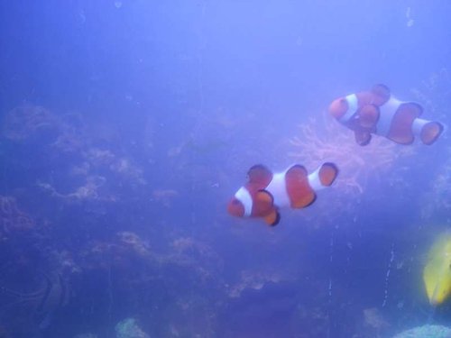 20140809_193117.jpg