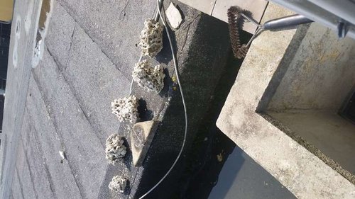 20140810_124914.jpg
