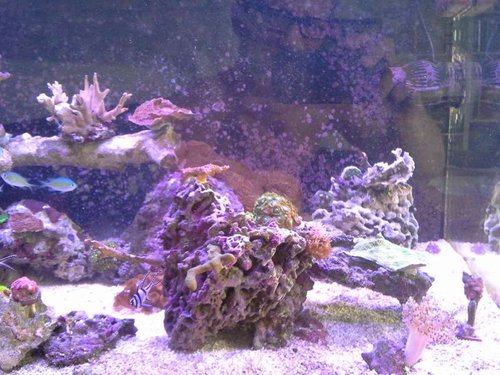 20140810_160216.jpg