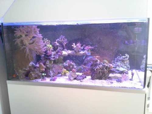 20140810_160144.jpg