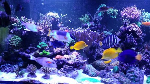 20140810_202938.jpg