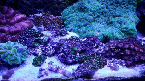 20140810_202746.jpg