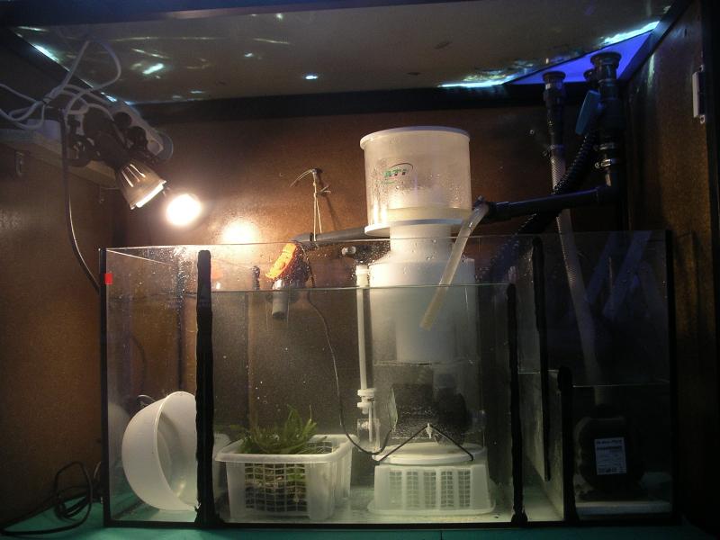 Sump