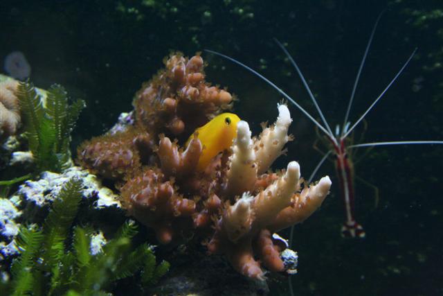 20070822_0013 (Small).JPG