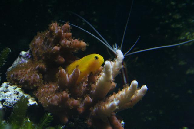 20070822_0010 (Small).JPG