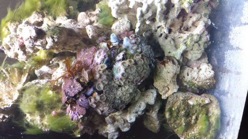 20140824_134803.jpg