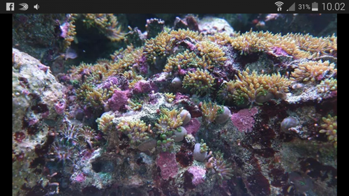 Screenshot_2014-08-31-10-02-30.png
