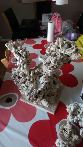 IMAG0608.jpg