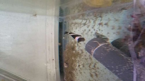20140831_114300.jpg
