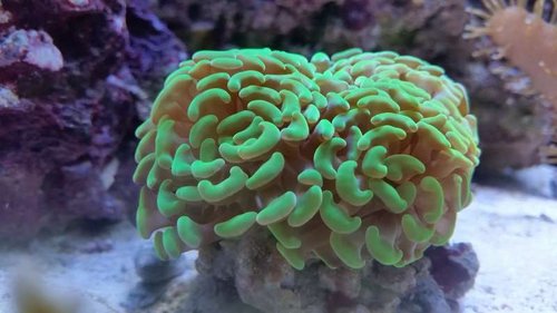 2014-09-02 21.21.14.jpg