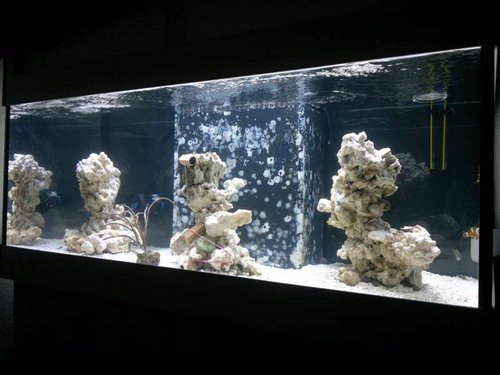 FTS