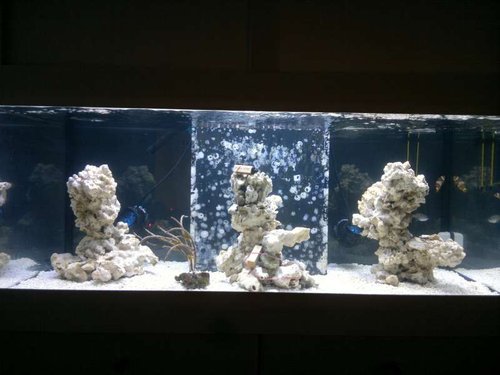 FTS