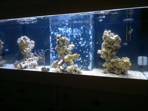FTS