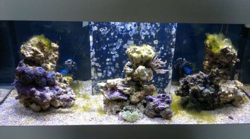 FTS