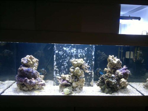 FTS