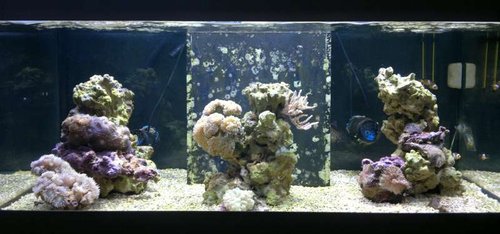 FTS