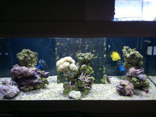FTS