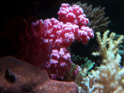 M0013242.jpg
