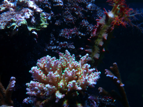 M0013244.jpg