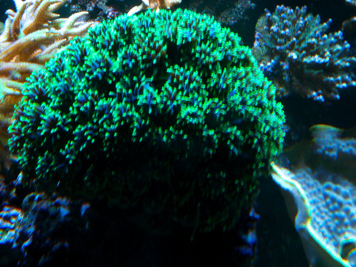 M0013245.jpg