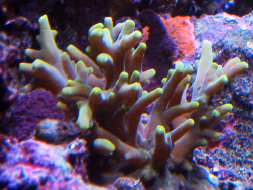 M0013246.jpg