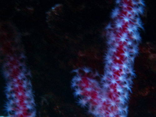 M0013248.jpg