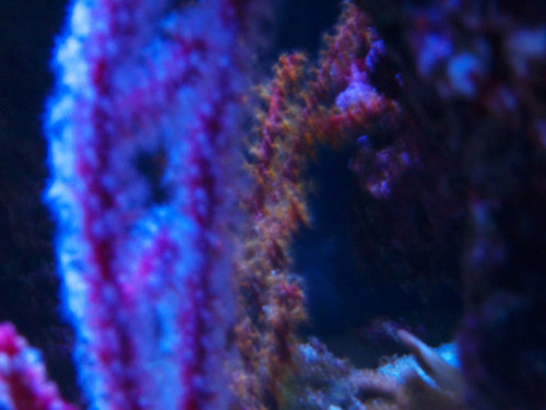 M0013251.jpg