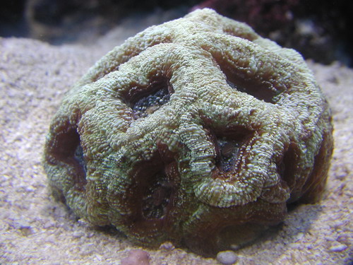 P8210054-1.jpg