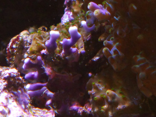 DSCF9668.jpg