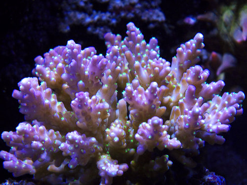 DSCF9664.jpg